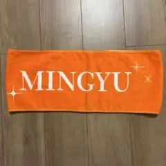 SEVENTEEN BE THE SUN ミンギュ マフラータオル