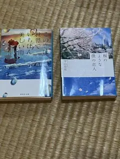 この恋は世界でいちばん美しい雨 & 桜のような僕の恋人　宇山佳佑まとめ売り