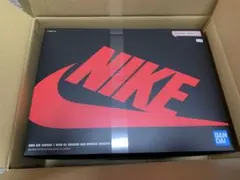 s*様 【新品未開封】NIKE AIR JORDAN 　MODEL KIT プラ