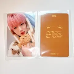 8turn トレカ　ミノ　ハロラ　minho photo card