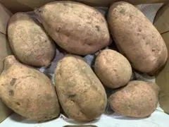 ☆安納芋　サツマイモ　無農薬　甘いです♪