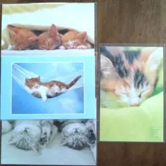 平成レトロ　ネコ　猫　子猫　ポストカード　ハガキ　はがき