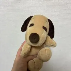 EDEN TOYS エデントイズ コロちゃん スポット Spot ぬいぐるみ - メルカリ