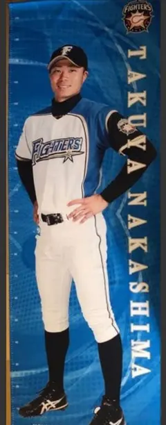 Item thumbnail for item 2d4b376d-21e1-4065-988c-2cbd243e3e1b