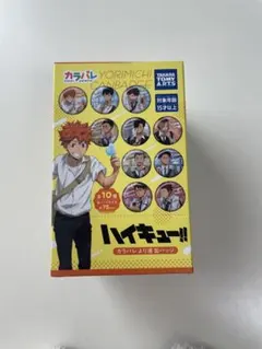 ハイキュー!! カラパレより道缶バッジセット 全10種