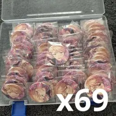 あんさんぶるスターズ鳴上嵐 コレクション缶バッジ2025 Feb コレ