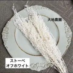済　N.L.H.Y *ゆっくりの出品です*様　ご専用