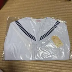 Item thumbnail for item 390e1533-1035-4640-b396-52e154be1066