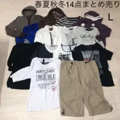 メンズ服春夏秋冬14点まとめ売り　Lサイズ