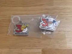 ポケモン 30周年メタルチャーム めじるしアクセサリー