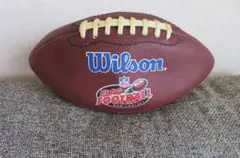 윌슨 윌슨 NFL 미식축구