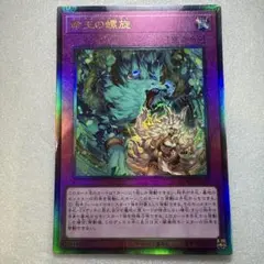 命王の螺旋　ドミナススパイラル　25th 座標一致 命王の螺旋【シークレット】{DOOD-JP079}《罠》