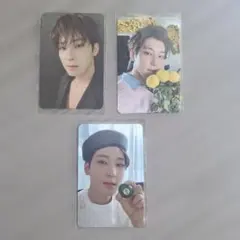 SEVENTEEN　ウォヌ　トレカ