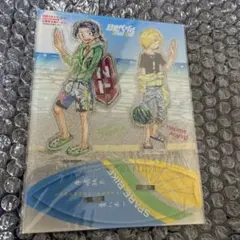 新品未開封　弱虫ペダル 青八木一 手嶋純太 ハイタッチ アクリルスタンド