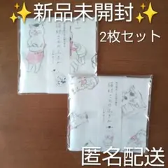 2026年最新】猫村さん 皿の人気アイテム - メルカリ