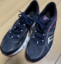 Item thumbnail for item 6e293287-9d41-471a-b9b9-2047f3f994e9