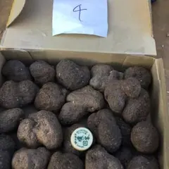 2026年最新】紫山芋の人気アイテム - メルカリ