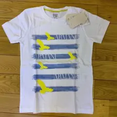 アルマーニジュニア8A