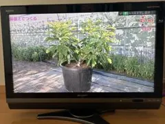 32V型 SHARP AQUOS ブルーレイ/DVD内蔵 液晶テレビ