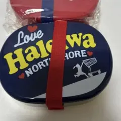 未使用　Haleiwa ハレイワ お弁当箱　青のみのサムネイル
