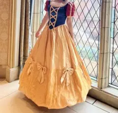 白雪姫 コスプレ衣装 ドレス Dハロ