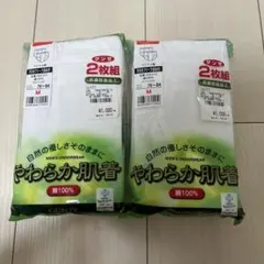 グンゼ 天引きブリーフ 前あき 2枚組 ２パックMサイズ