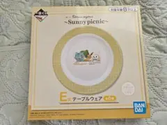 【値下げ】一番くじ　ポケットモンスター E賞　テーブルウェア　サニーピクニック