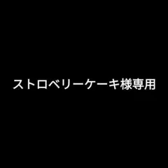 ストロベリーケーキ様 リクエスト 2点 まとめ商品