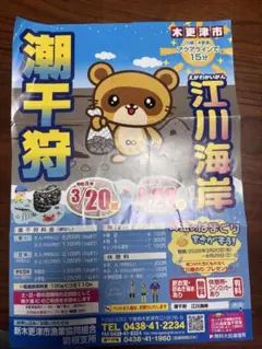 【大人２人分、子供２人分】令和8年 江川海岸潮干狩 補助券 6/28まで