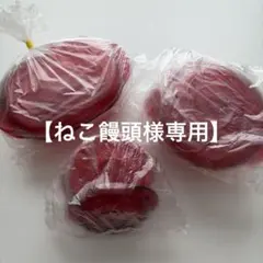 【ねこ饅頭】タッパーウェーブ2000シリーズ 2026年最新】タッパーウェーブ2000の人気アイテム - メルカリ