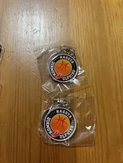名古屋ダイヤモンドドルフィンズ キーホルダー 2個セット