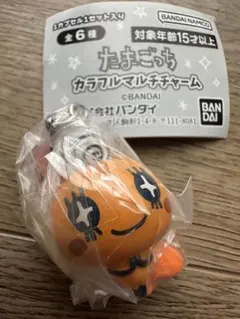 新品！たまごっちカラフルマルチチャーム めめっち