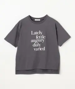 anyFam 半袖ロゴTシャツ チャコールのサムネイル