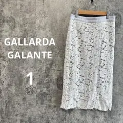 n263【ガリャルダガランテネイビー】レースタイトスカート 花柄 春色