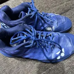 Item thumbnail for item 0c98a7b0-05eb-4da8-bcbe-286bb89612cd