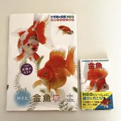 【未使用】小学館の図鑑NEO　金魚　2冊セット