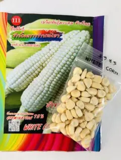 えりか様 リクエスト 2点 まとめ商品