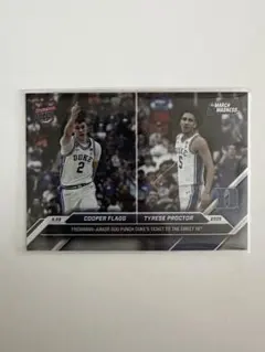 Item thumbnail for item 81ff0d94-75e0-41db-b2ee-52d9dff1bca2