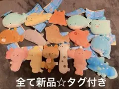 つぶらな瞳の水族館　まとめ売り