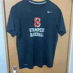読売ジャイアンツNIKEプラクティスハイグレード Tシャツ - メルカリ