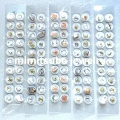 Item thumbnail for item 2fd24561-4fb6-486e-bb92-f3f21cee8212