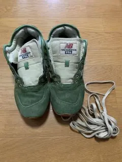 Item thumbnail for item 77c188e2-cf43-4eae-9f37-edd9aff3d43b