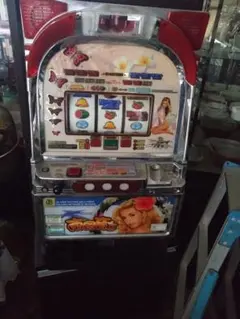 2025年最新】南国育ち 4号機の人気アイテム - メルカリ