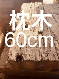 60cm B 랭크 중고 슬리퍼 수량 한정!나한테 맡겨!T204