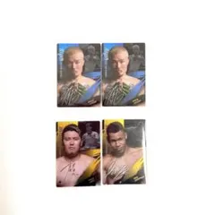 RIZIN ウエハース カード 4枚セット