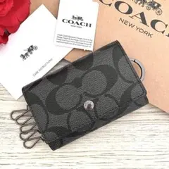 Item thumbnail for item d51b482b-94a9-4caf-bba1-2f805940a103