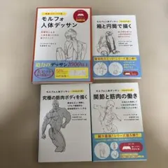 ソッカの美術解剖学ノート キムラッキーの人体ドローイング モルフォ