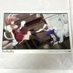 ひなこのーと 桜木ひなこ＆夏川くいな 柊真雪 クリアファイル