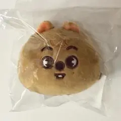ハンクォッカ クオッカ ぬいぐるみマグネット マグネット マスコット ぬいぐるみ