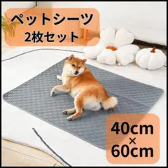 グレー ペットシーツ 45 60 ペットシート トイレマット 洗濯 2枚のサムネイル